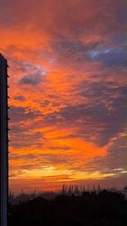 Normanton Park (D5), Apartment #627854571